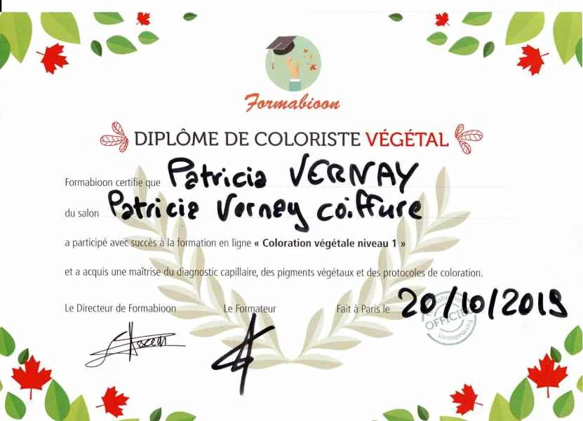 Diplôme de coloriste végétale de Patricia Vernay